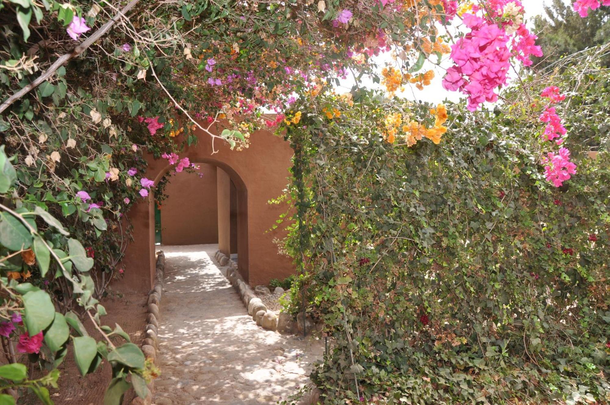 La Palmeraie De Massa Zaouit Massa Exterior photo